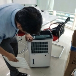 hình đánh giá của Vương Thịnh