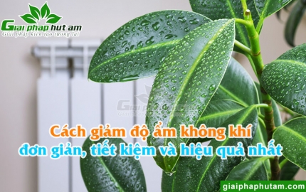Cách Giảm Độ Ẩm Không Khí