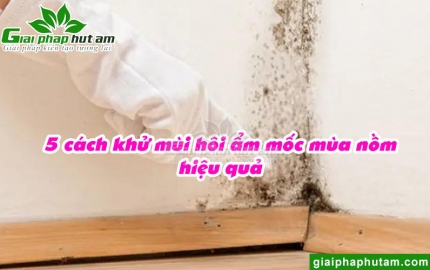 Cách Khử Mùi Hôi Ẩm Mốc Mùa Nồm