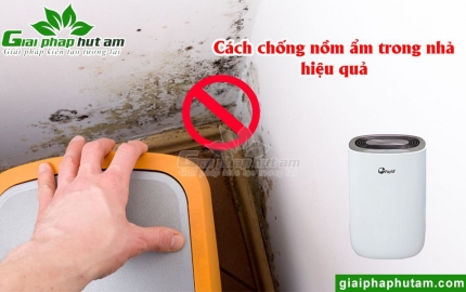 Chống Nấm Mốc Trong Nhà