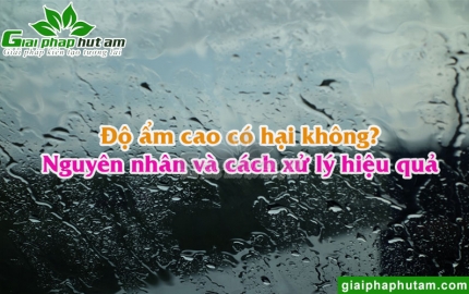 Độ Ẩm Cao