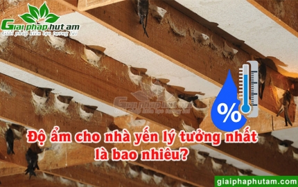 Độ Ẩm Cho Nhà Yến