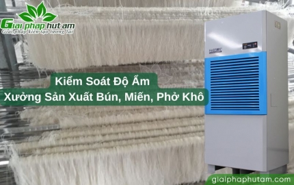 Giải pháp kiểm soát độ ẩm cho xưởng sản xuất bún, miến, phở khô