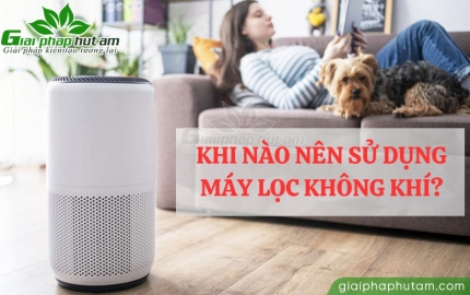 Khi nào nên sử dụng máy lọc không khí? Tìm hiểu ngay