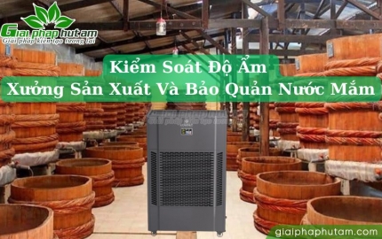 Kiểm Soát Độ Ẩm Trong Xưởng Sản Xuất Và Bảo Quản Nước Mắm
