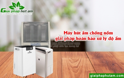 Máy Hút Ẩm Chống Nồm