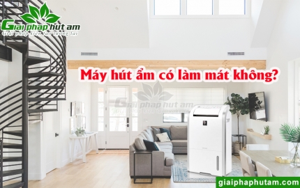 Máy hút ẩm có làm mát không?