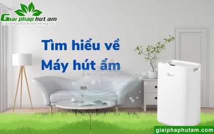 Máy hút ẩm là gì?