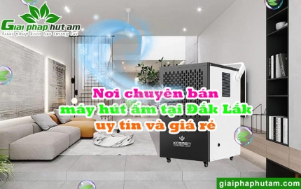 Máy Hút Ẩm Tại Đắk Lắk