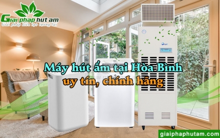 Máy Hút Ẩm Tại Hòa Bình