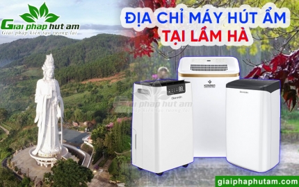Máy hút ẩm tại Lâm Hà