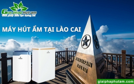 Máy Hút Ẩm Tại Lào Cai