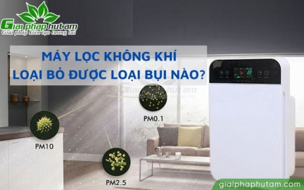 Máy lọc không khí loại bỏ được những loại bụi nào?