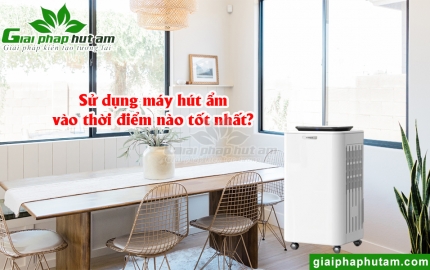 Sử Dụng Máy Hút Ẩm Thời Điểm Nào Tốt Nhất?