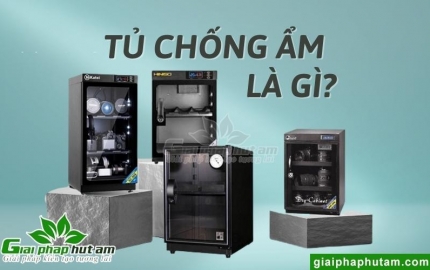 Tất Tần Tật: Tủ Chống Ẩm Là Gì ? Nó Có Đáng Để Mua Không?