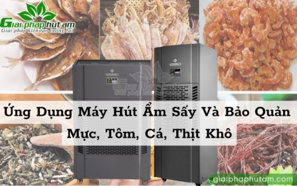 Ứng Dụng Máy Hút Ẩm Sấy Và Bảo Quản Mực, Tôm, Cá, Thịt Khô