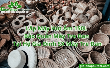 Lắp Máy Hút Ẩm 150L Bảo Quản Mây Tre Đan Cho Hộ Gia Đình