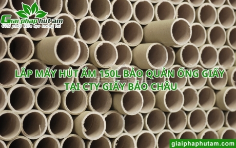 Lắp Máy Hút Ẩm 150L Bảo Quản Ống Giấy Tại CTY Giấy Bảo Châu