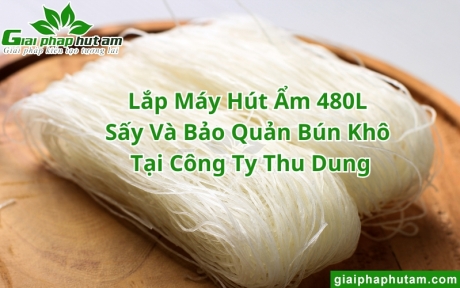 Lắp Máy Hút Ẩm 480L Sấy Và Bảo Quản Bún Khô Tại CTY Thu Dung