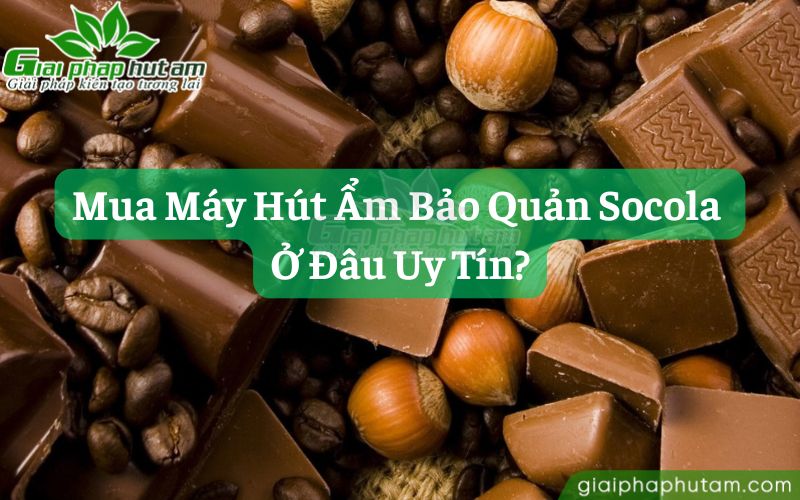 Mua máy hút ẩm bảo quản socola ở đâu tốt?