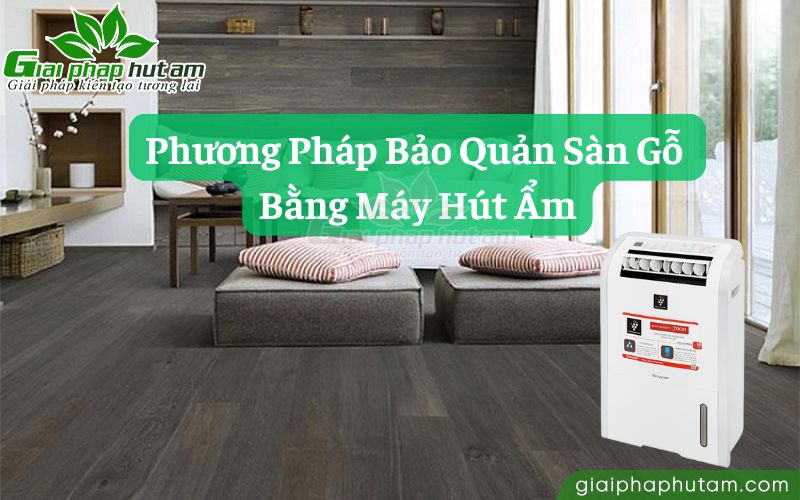 Máy hút ẩm bảo quản sàn gỗ