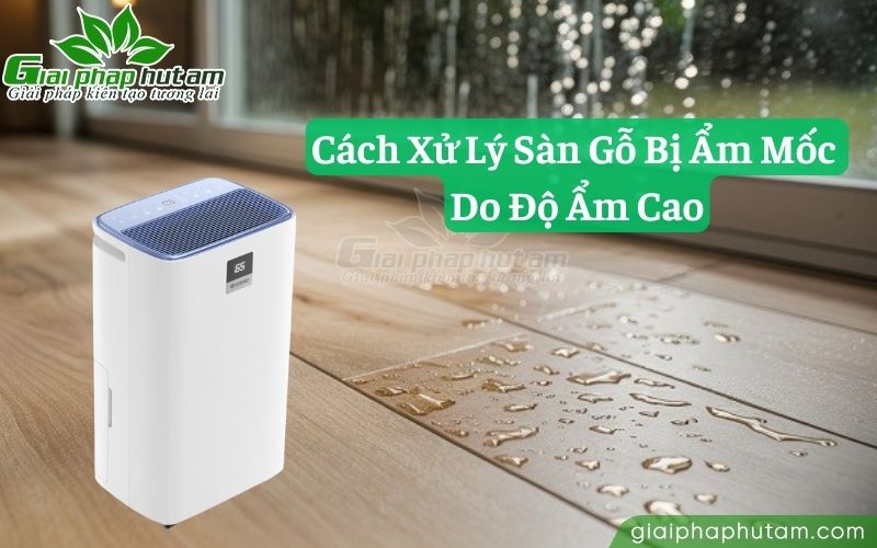 sàn gỗ bị ẩm mốc do độ ẩm cao