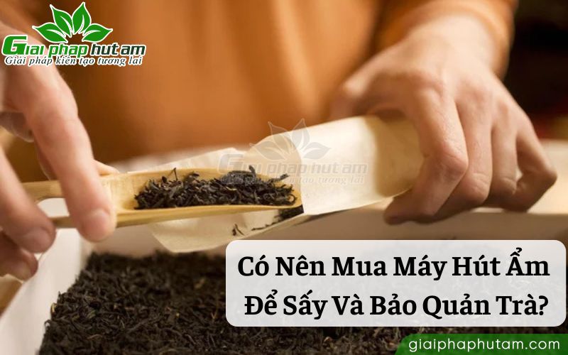 Độ ẩm ảnh hưởng thế nào đến chất lượng trà?