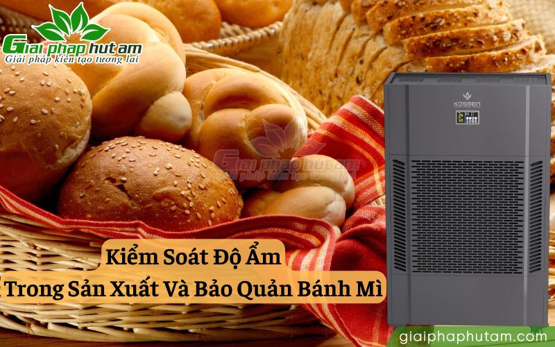 kiểm soát độ ẩm trong sản xuất và bảo quản bánh mì