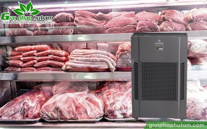kiểm soát độ ẩm trong kho lạnh bảo quản thực phẩm