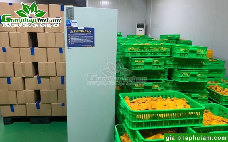 Hình ảnh lắp đặt máy hút ẩm tại Công ty Chế biến trái cây Minh Phương - Đồng Tháp