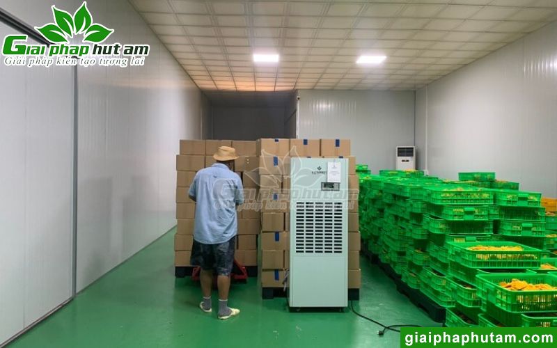 Hình ảnh lắp đặt máy hút ẩm tại Công ty Chế biến trái cây Minh Phương - Đồng Tháp