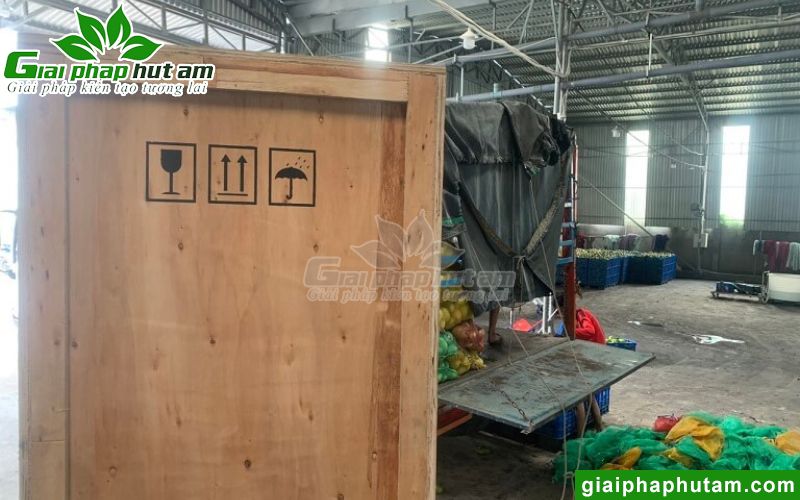 Hình ảnh lắp đặt máy hút ẩm tại Công ty Chế biến trái cây Minh Phương - Đồng Tháp