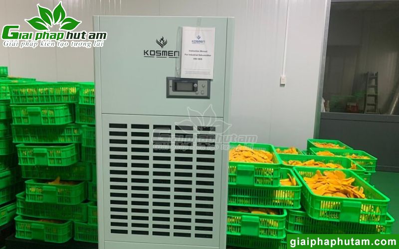 Hình ảnh lắp đặt máy hút ẩm tại Công ty Chế biến trái cây Minh Phương - Đồng Tháp