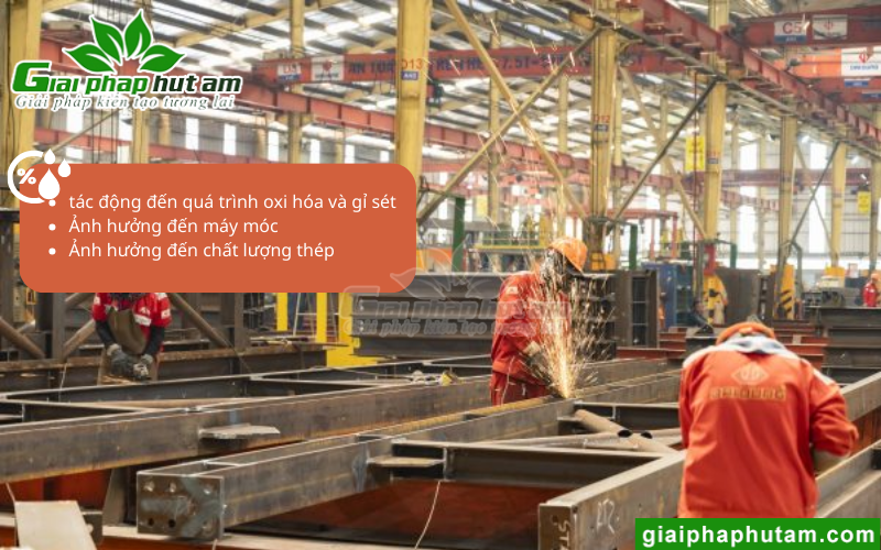 Độ ẩm cao gây ra nhiều tác động xấu
