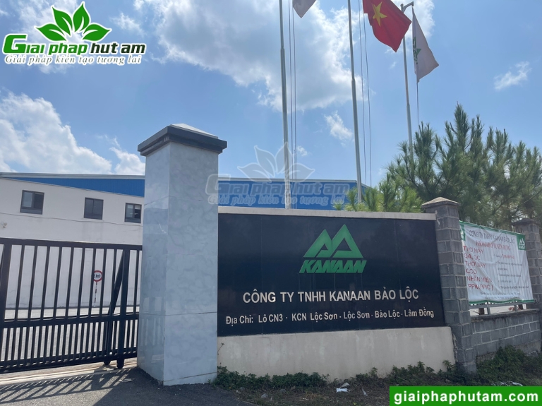 máy hút ẩm tại lâm đồng