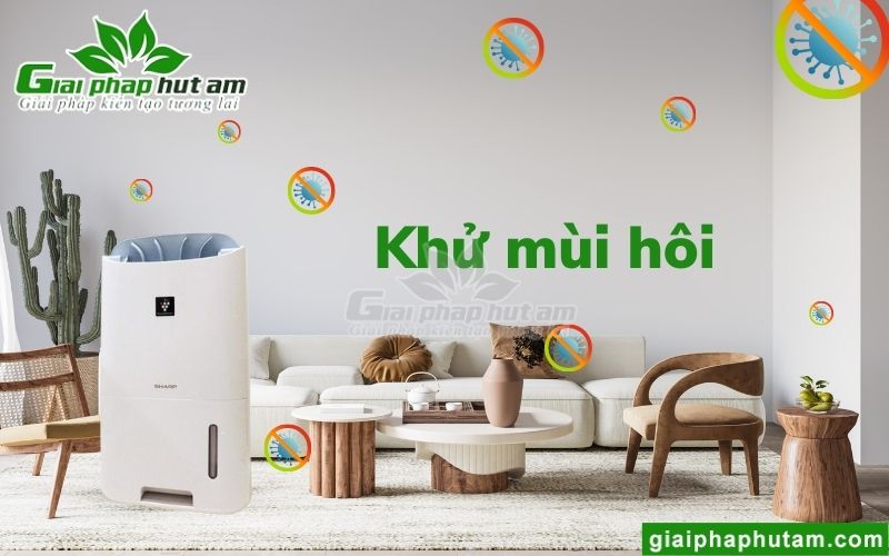 Máy hút ẩm gia đình giúp khử mùi hôi hiệu quả