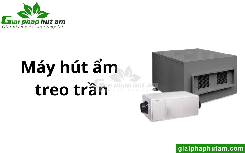 Máy hút ẩm treo trần