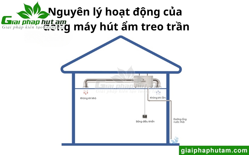 Nguyên lý hoạt động của máy hút ẩm treo trần