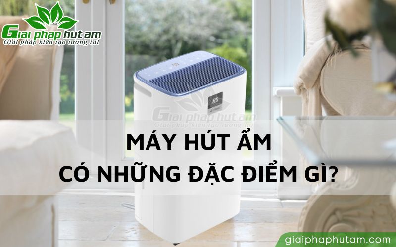 Máy hút ẩm có những đặc điểm gì nổi bật