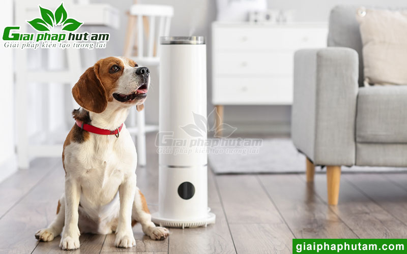 Cách xử lý độ ẩm không khí hiệu quả