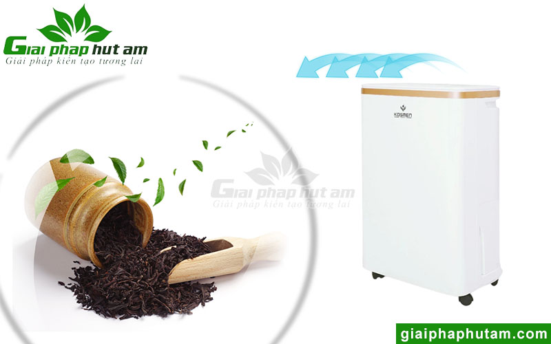 Có nên sử dụng máy hút ẩm tại Phú Thọ bảo quản chè khô không?