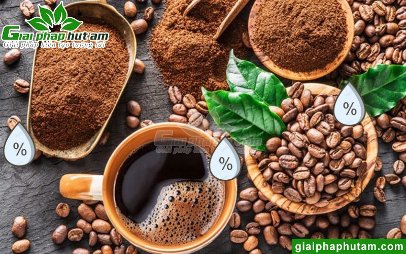 độ ẩm ảnh hưởng đến chất lượng hat cà phê