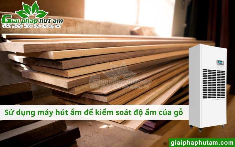 ứng dung máy hút ẩm trong kiểm soát Độ ẩm của gỗ