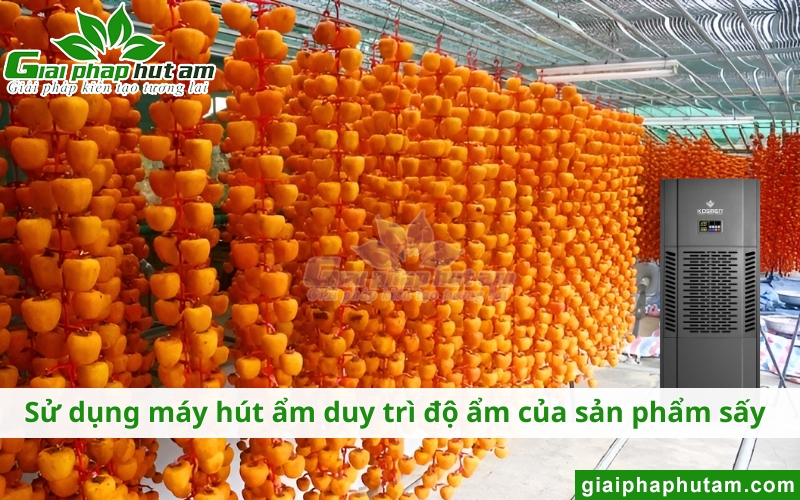 máy hút ẩm giúp duy trì Độ ẩm của sản phẩm sấy