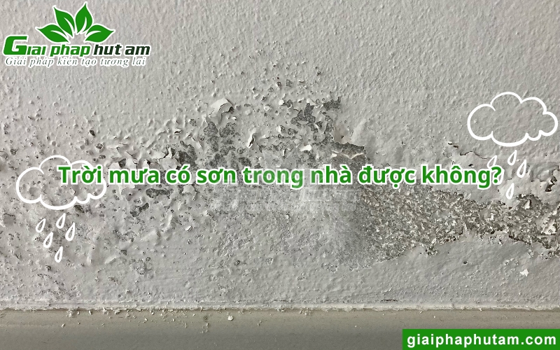trời mưa có sơn trong nhà được không