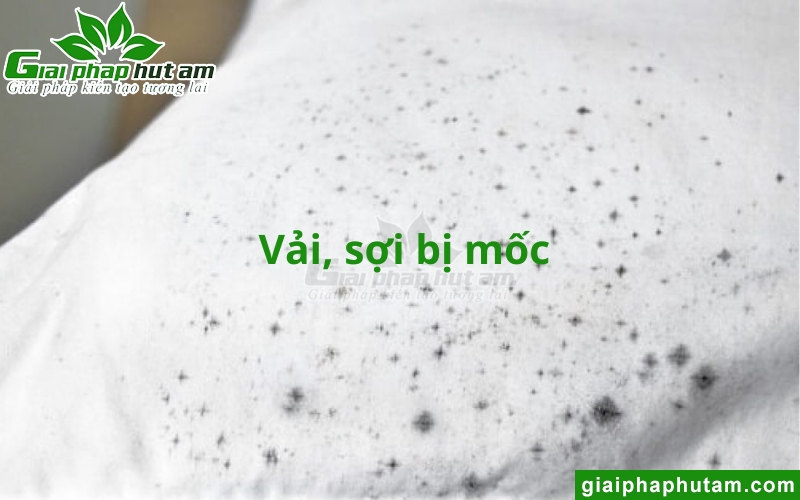 ảnh hưởng của Độ ẩm trong may mặc đến vải vóc
