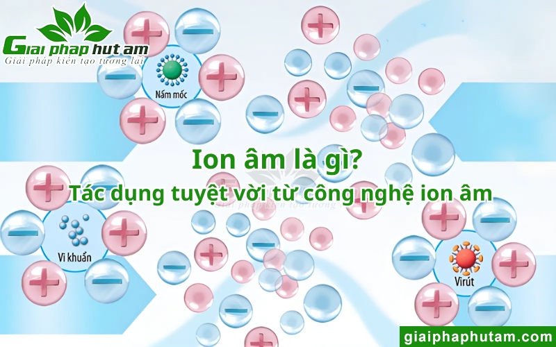 ion âm là gì