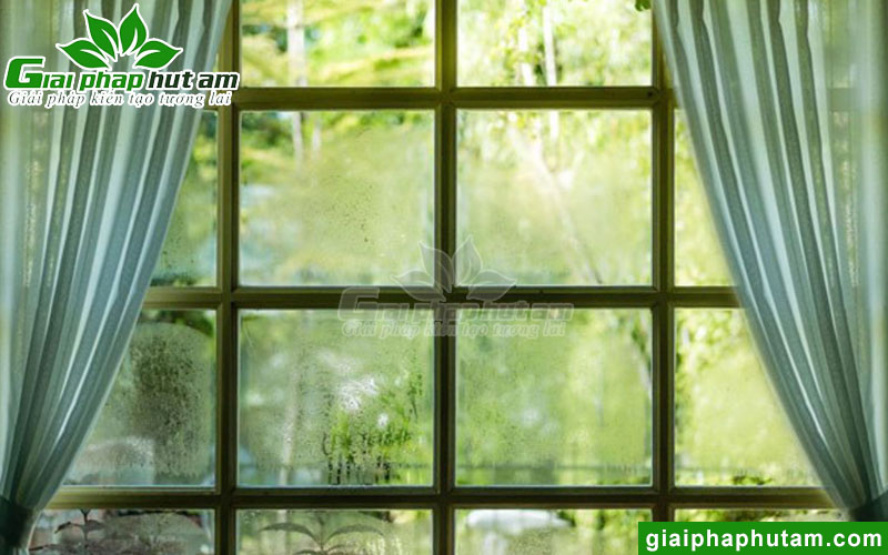 Nồm ẩm là gì?