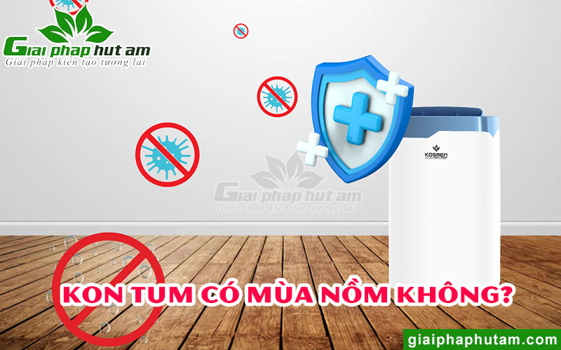 Lợi ích của máy hút ẩm tại Kon Tum mang lại