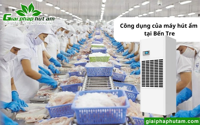 Máy hút ẩm tại Bến Tre ứng dụng trong chế biến thủy sản